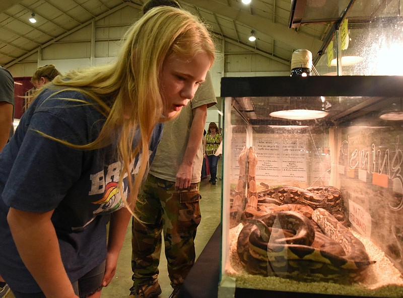 Summer Taylor looks at snakes for sale at the Repticon show at the Camp Jordan Arena on Saturday, July 4, 2015, in East Ridge, Tenn. 