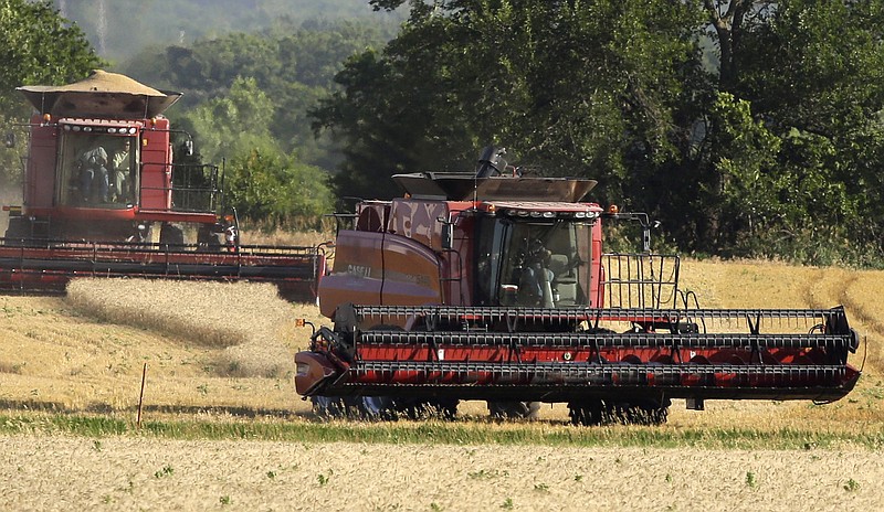 
              FILE - In this June 22, 2015 file photo, a  combine moves on to the next field while an other makes its last cut while harvesting wheat near Andover, Kan. Concerns about the quantity and quality of the U.S. winter wheat crop and an El Nino weather pattern blamed for dry conditions in other wheat producing nations have sparked a recent run up in wheat prices. (AP Photo/Orlin Wagner, File)
            