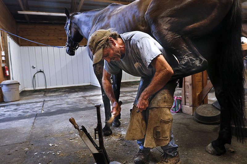 Staff photo by Doug Strickland
Farrier Greg Dortch shoes the horse Heart N Soul on Thursday, July 2, 2015, at Dry Ridge Farm in Philadelphia, Tenn. The Ooltewah, Tenn., based farrier travels to farms and ranches throughout the region to shoe and provide general hoof care to horses.