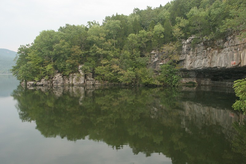 In the summertime, gray bats, which are on the national endangered species list, fly out of the Nickajack Cave around dusk every evening.