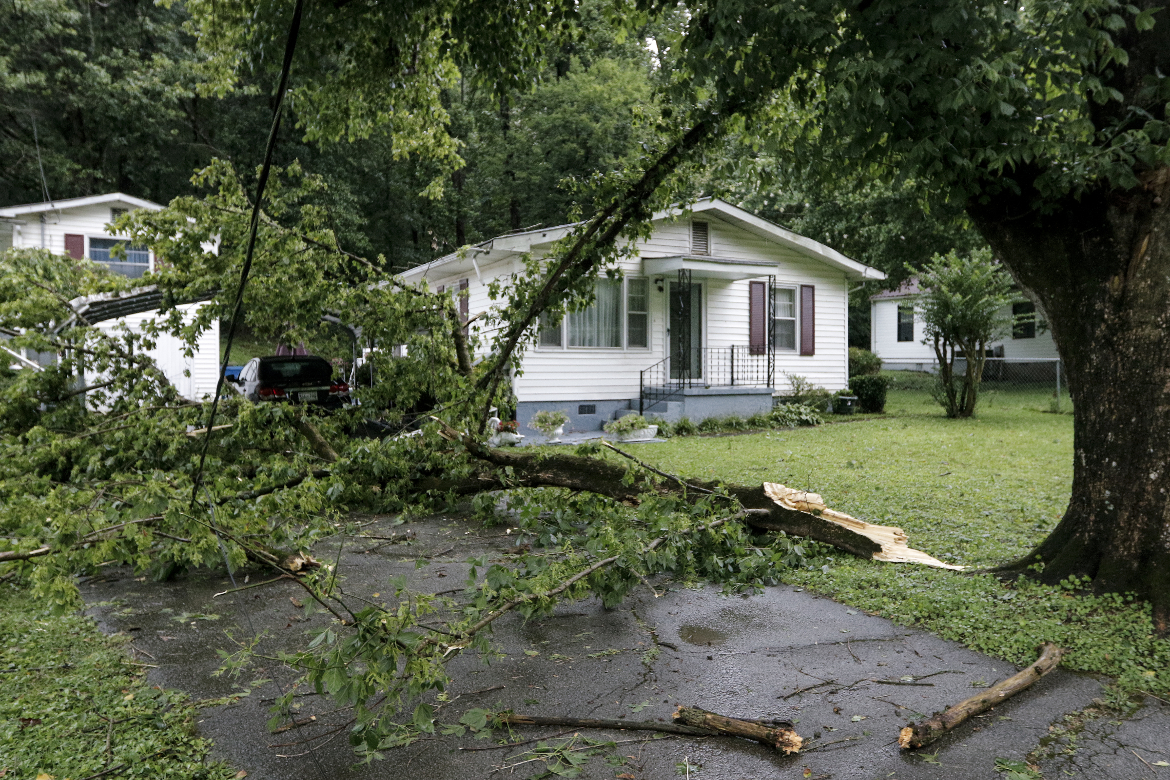 A downed tree is seen in front of a home on Lullwater Road after heavy thunderstorms swept through the region Tuesday, July 14, 2015, in Red Bank, Tenn.