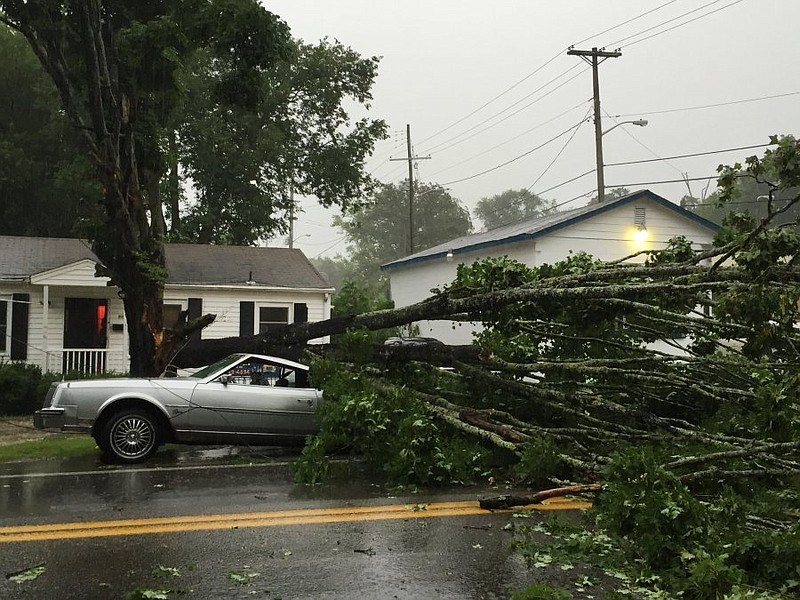 Storm winds blew down a tree on a car in Knoxville this afternoon.