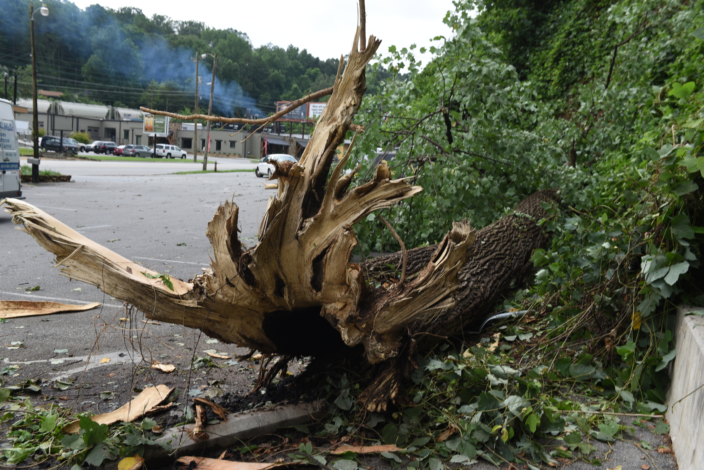 Downed trees are seen in the parking lot of Sofa King Juicy Burgers on Wednesday, July 15, 2015, in Red Bank, Tenn. A strong line of Tuesday evening thunderstorms caused storm damage in various parts of the Chattanooga area.