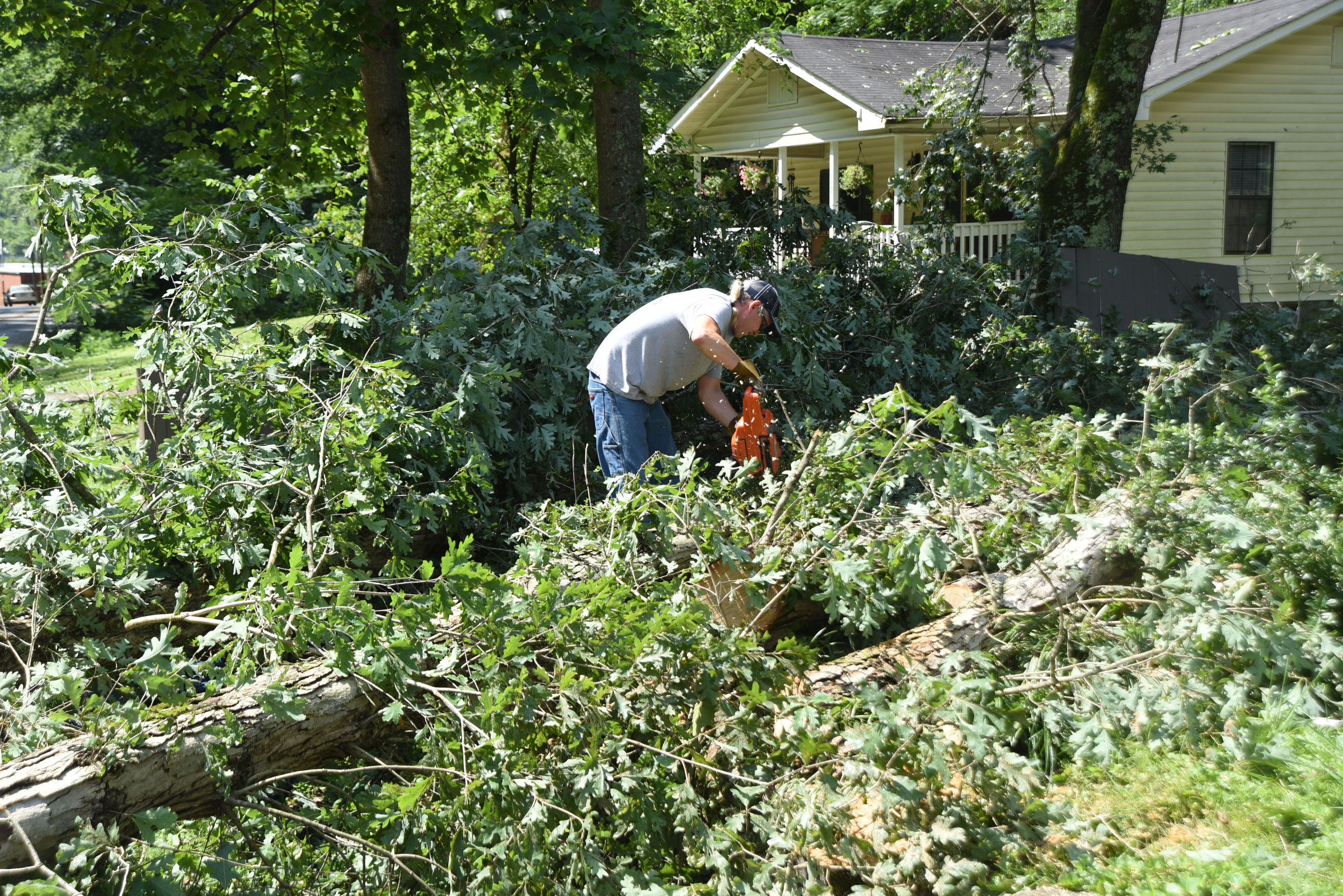 Jerry Bryan cuts trees in his daughter's Hedgewood Drive home in Red Bank Wednesday, July 15, 2015 after storms came through the area Tuesday.