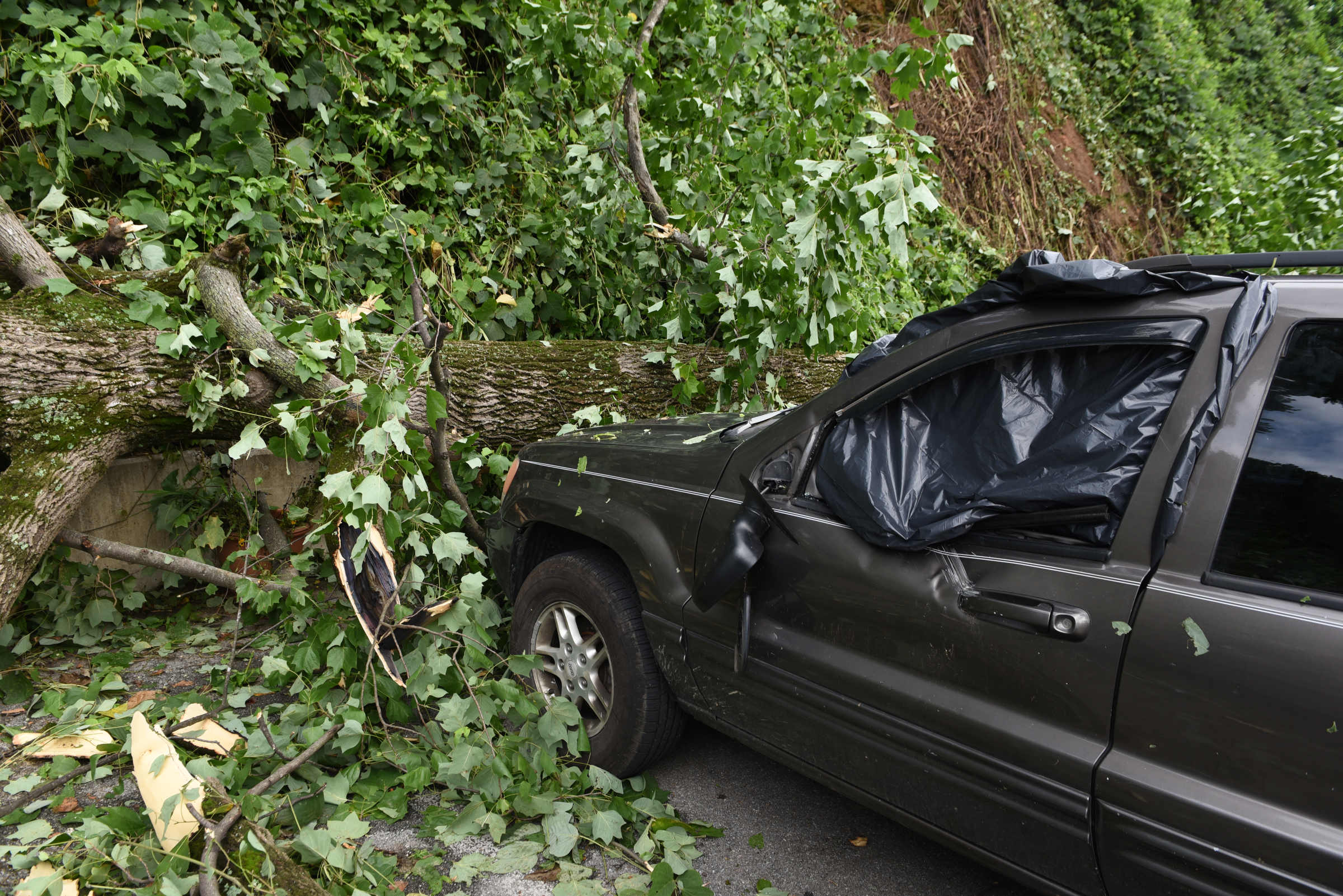 A damaged vehicle and downed trees are seen in the parking lot of Sofa King Juicy Burgers on Wednesday, July 15, 2015, in Red Bank, Tenn. A strong line of Tuesday evening thunderstorms caused storm damage in various parts of the Chattanooga area.