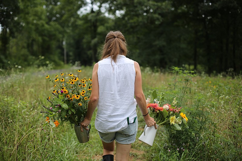 Sarah Ervin brings bouquets from her fields at Southerly Flower Farm back to the house on Thursday, July 23, 2015 in Graysville, Tenn.. She and her husband, Matthew, inherited the land and a log cabin from his parents and are in the swing of their first flower season. (Staff photo by Maura Friedman)