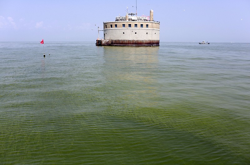 
              FILE - In this Aug. 3, 2014, file photo, the City of Toledo water intake crib is surrounded by algae in Lake Erie, about 2.5 miles off the shore of Curtice, Ohio. Toledo has detected the first signs in Lake Erie of the dangerous toxin that resulted in a water crisis last year that left 400,000 people in northwestern Ohio and southeastern Michigan without safe tap water for two days announced Monday, July 27, 2015. (AP Photo/Haraz N. Ghanbari, File)
            