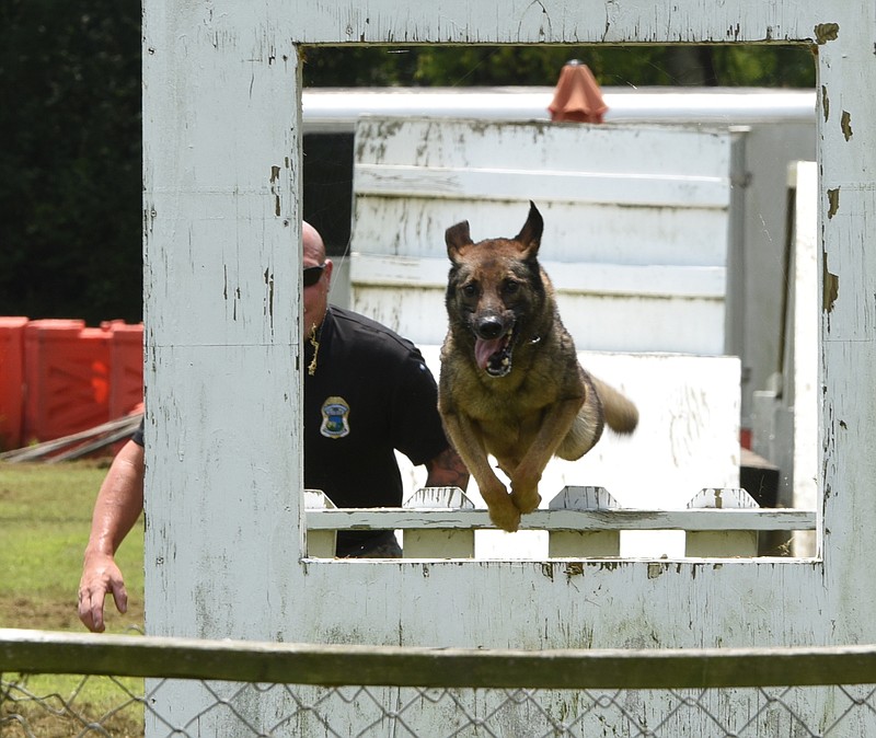 Jeremy Wilson works with his Belgian Malinois K-9 police dog Wednesday.