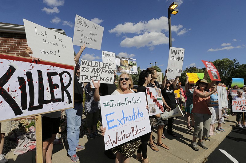 
              Protestors gather outside Dr. Walter James Palmer's dental office in Bloomington, Minn., Wednesday, July 29, 2015. Palmer reportedly paid $50,000 to track and kill Cecil, a black-maned lion, just outside Hwange National Park in Zimbabwe. (AP Photo/Ann Heisenfelt)
            