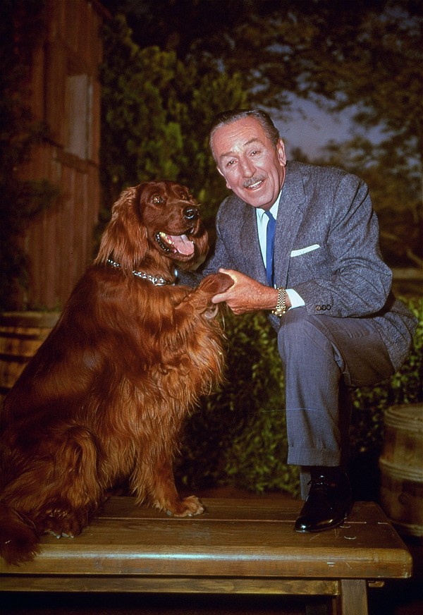 Walt Disney experts rebut dogged antiSemitic allegations Chattanooga Times Free Press