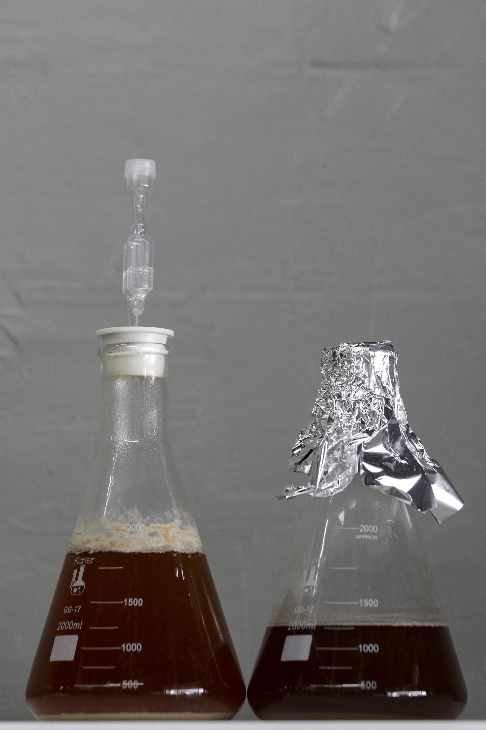 Brewer Kirby Garrison is growing wild yeast cultures to be used in brewing sour beers Thursday, June 25, 2015, at new brewery Monkey Town Brewing Co. in Dayton, Tenn.