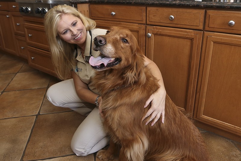 
              Dr. Jessica Vogelsang, a hospice veterinarian for Paws Into Grace and the author of All Dogs Go To Kevin: Everything Three Dogs Taught Me,  poses for a photo with Brody, her golden retriever Tuesday, July 28, 2015, in San Diego. Dogs provide comfort not just in death, but in other difficult times, whether it's depression, job loss or a move across country. Dogs know when people are dying or grieving through body language cues, smells only they can detect and other ways not yet known, experts say.  (AP Photo/Lenny Ignelzi)
            
