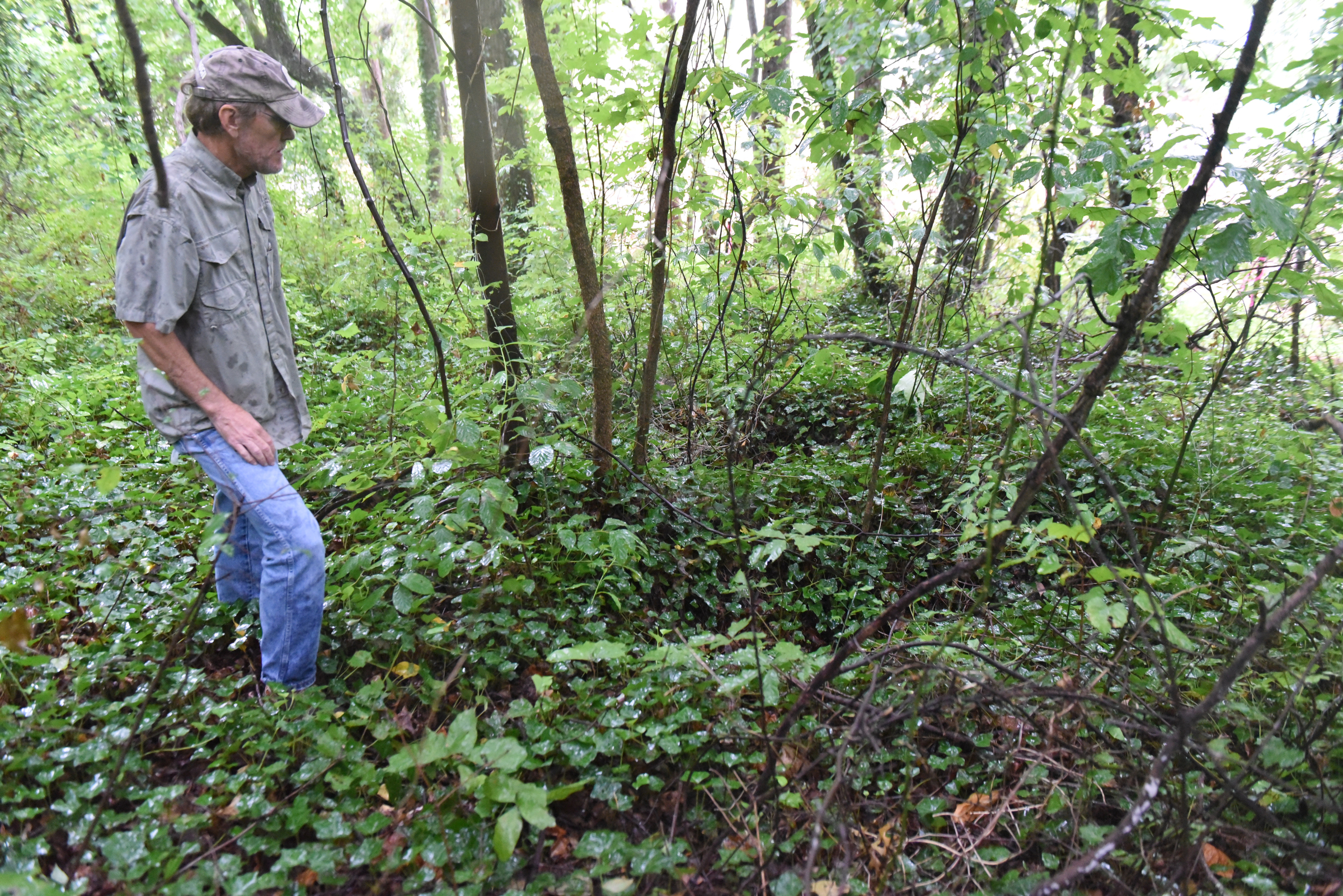 Dr. Nick Honerkamp of the UTC archeology department looks collapsed graves at the site of an old cemetery adjacent to the construction site for a new housing development on Dartmouth Street in the North Chattanooga community Monday, Aug. 10, 2015, in Chattanooga, Tenn.