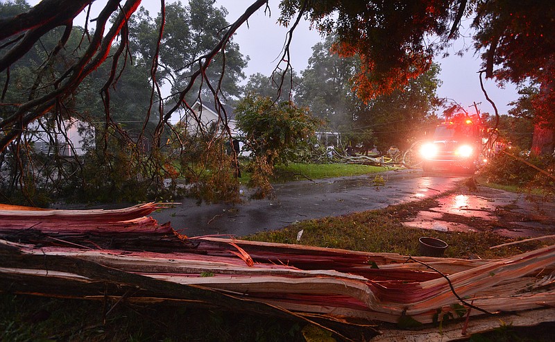 Trees block roads in this storm tile file photo.