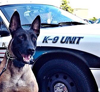 K-9 Duco