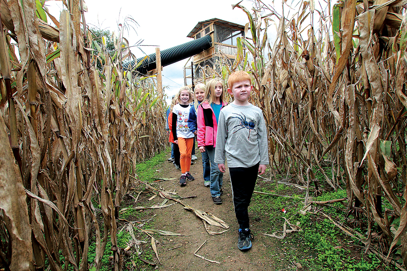 AP Photo/The Citizen Tribune, Chuck Hale