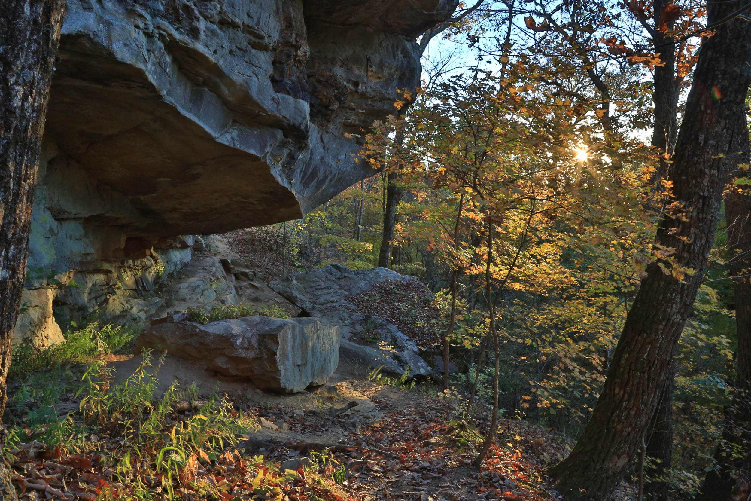 Photo contributed by Sewanee University of the South