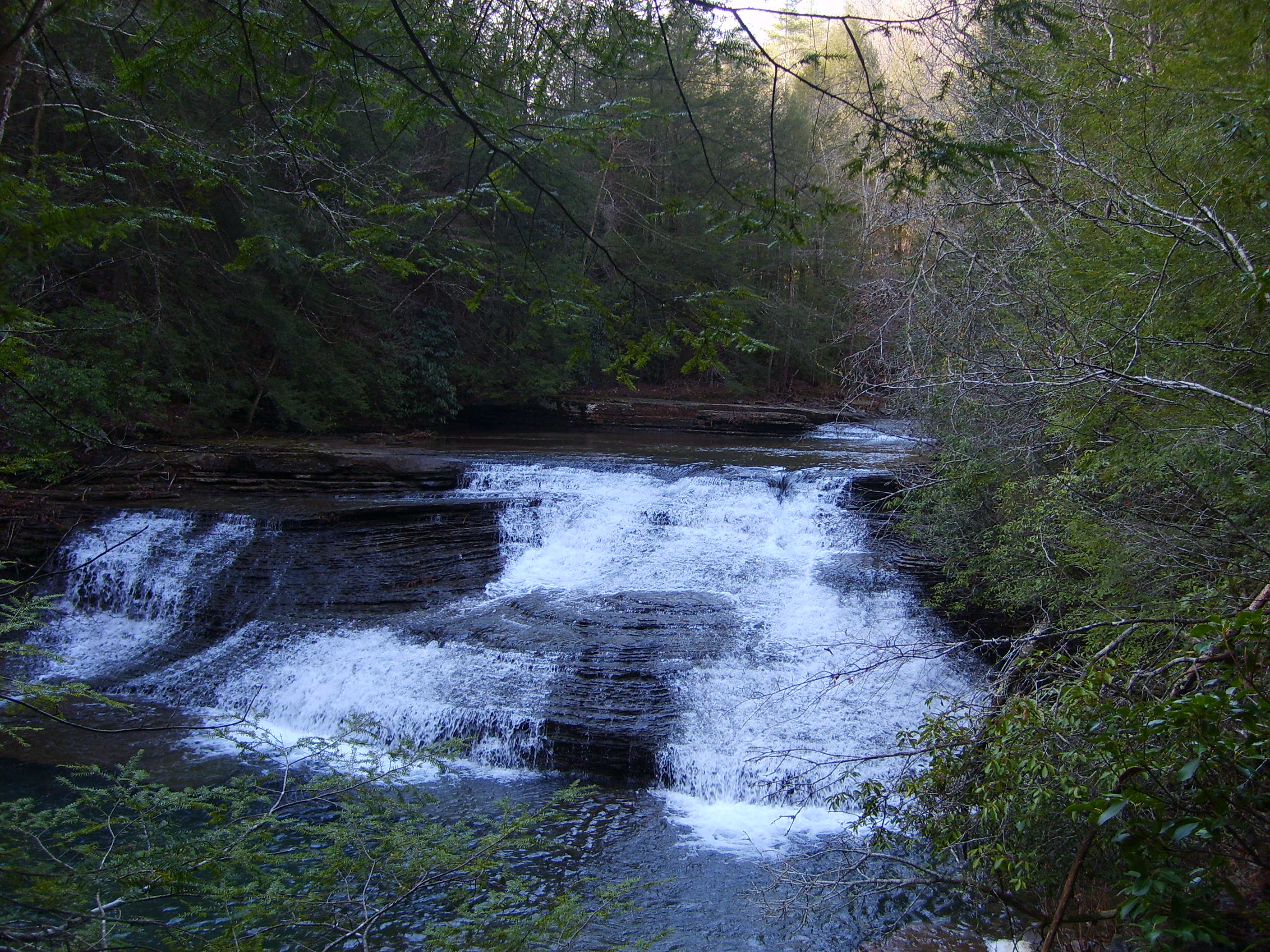 Photo contributed by Frank Jamison