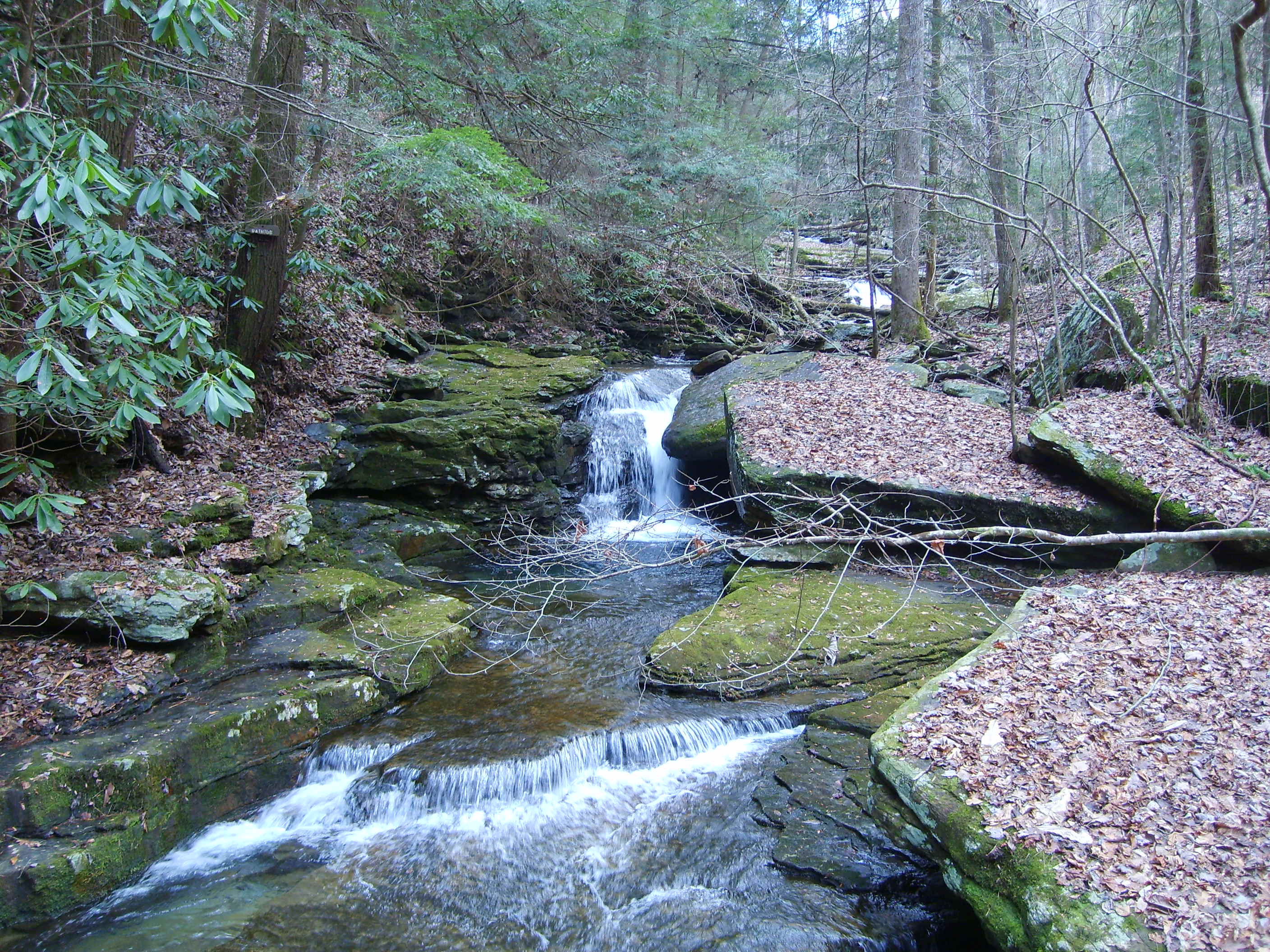 Photo contributed by Frank Jamison