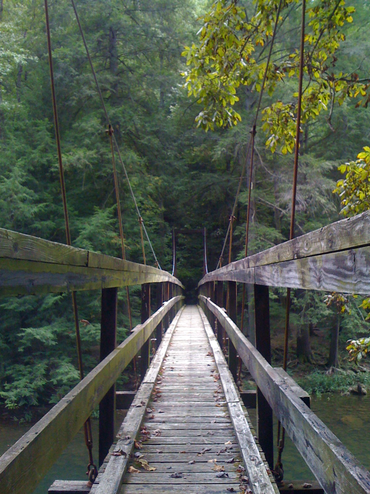 Photo contributed by Frank Jamison