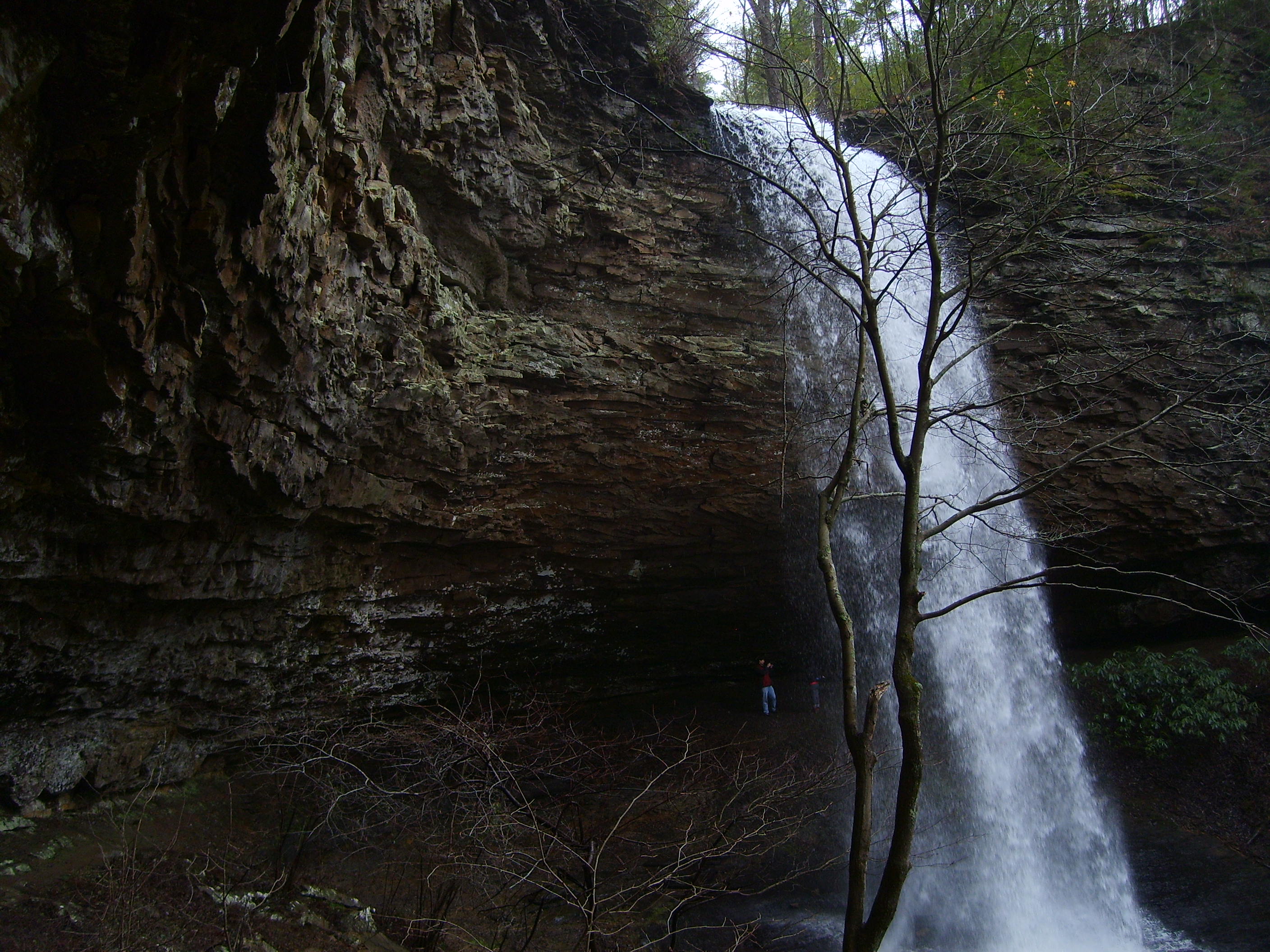 Photo contributed by Frank Jamison