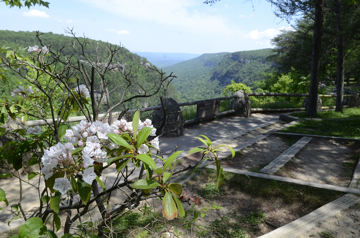 Cloudland Canyon State Park is located atop Lookout Mountain in Dade County, Ga.
