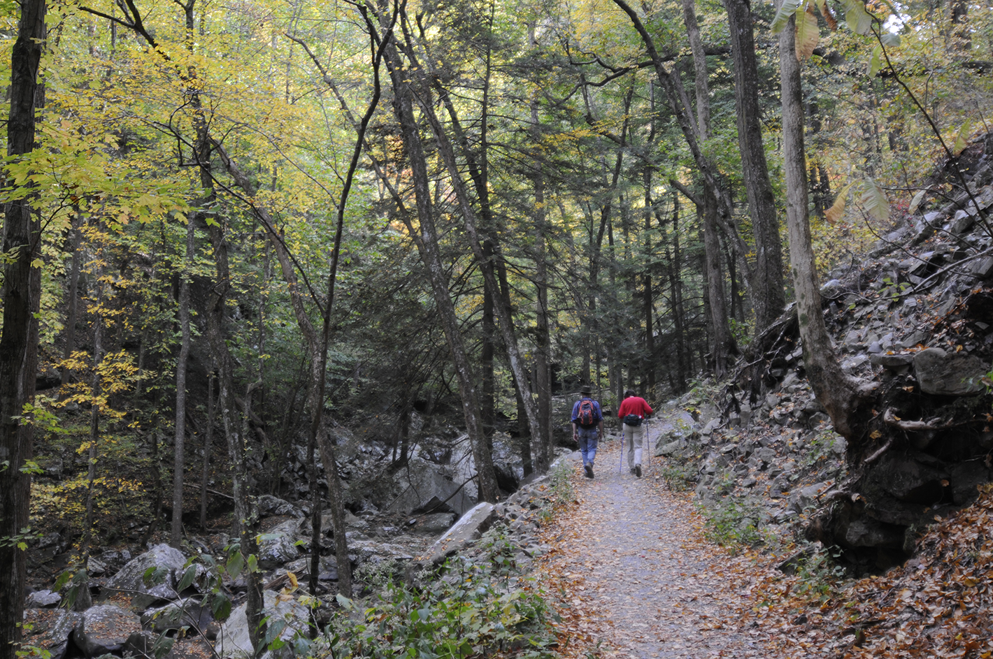 Jun 9, 2012-- Hikers enjoy the trail at Cloudland Canyon State Park.