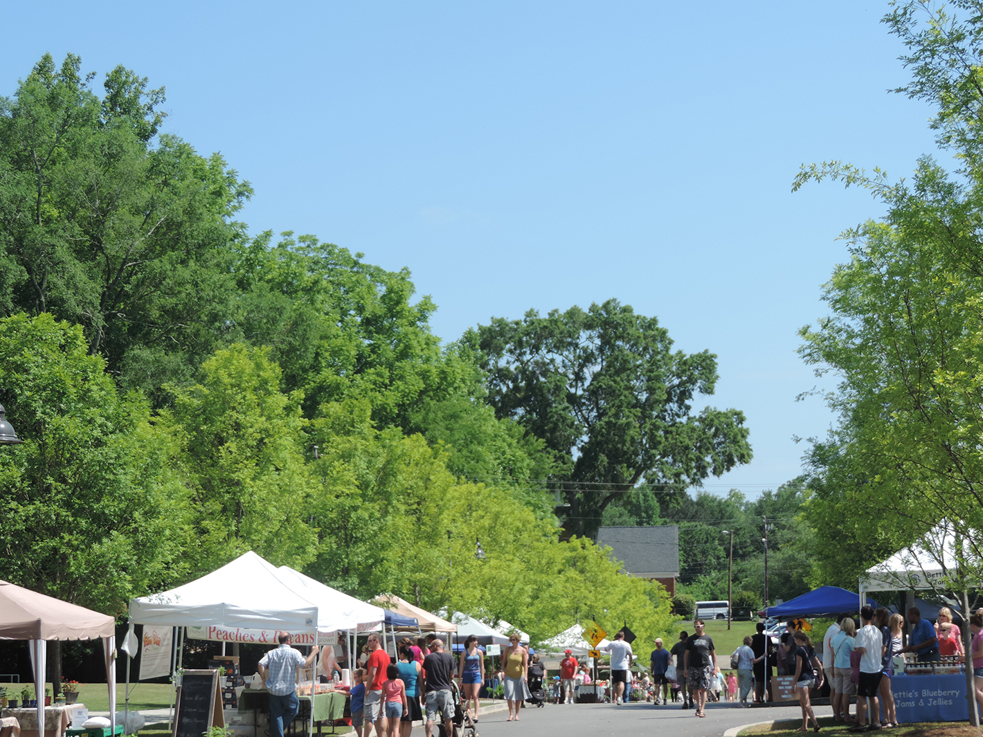 The Woodstock Farmers Market on Market Street is held Saturdays 8:30-12:00 May through November.