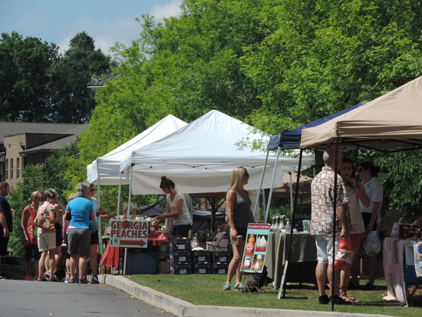 The Woodstock Farmers Market on Market Street is held Saturdays 8:30-12:00 May through November.