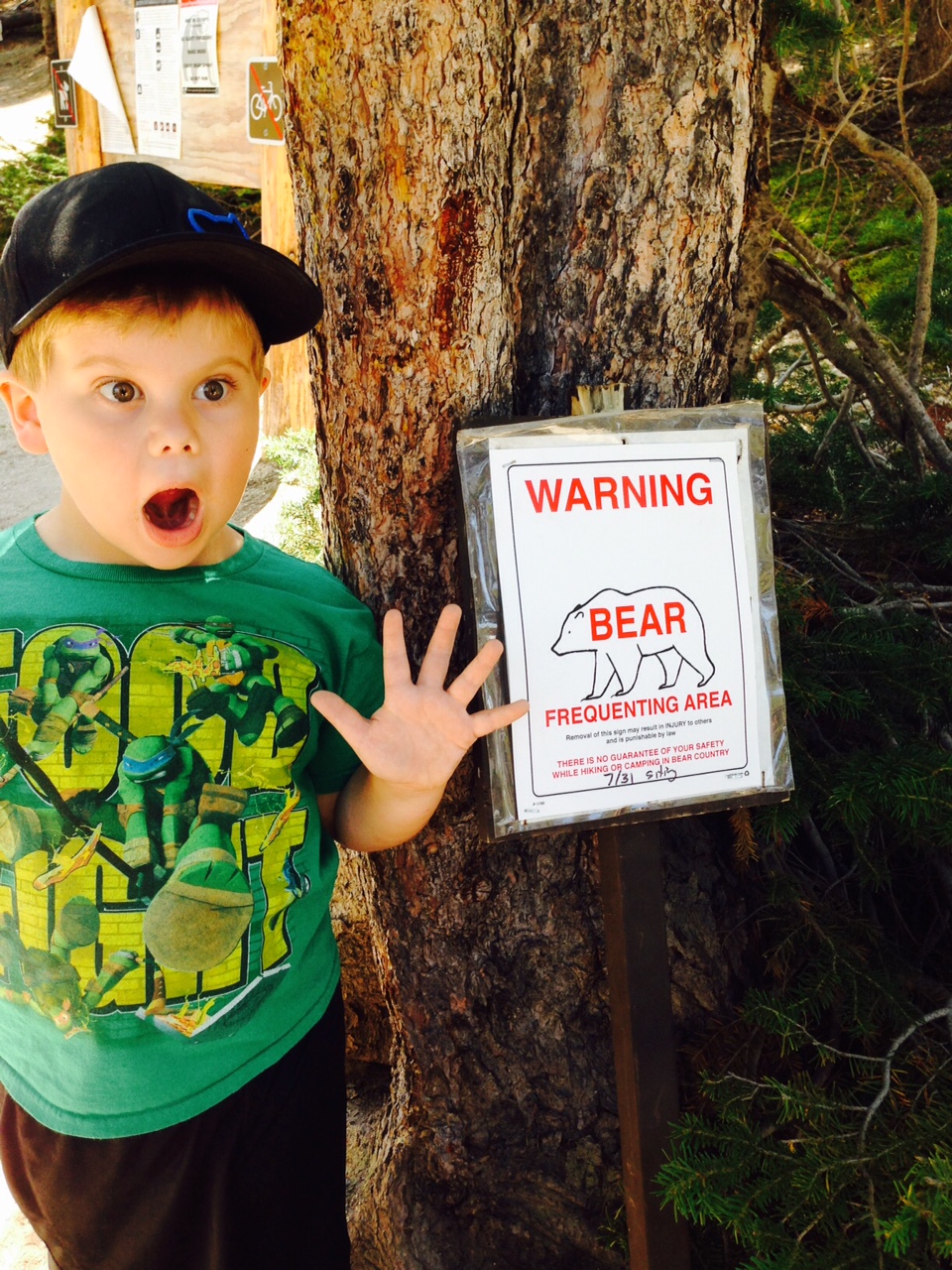 Phyllis Owen's 5-year-old grandson, Brenan Cooper Wilson, was not enthused a couple of weeks ago when his family decided to take this hike in Yellowstone National Park. The family, grandparents included, spent 10 days camping, reliving a family vacation they 32 years ago, right at the time the first 
