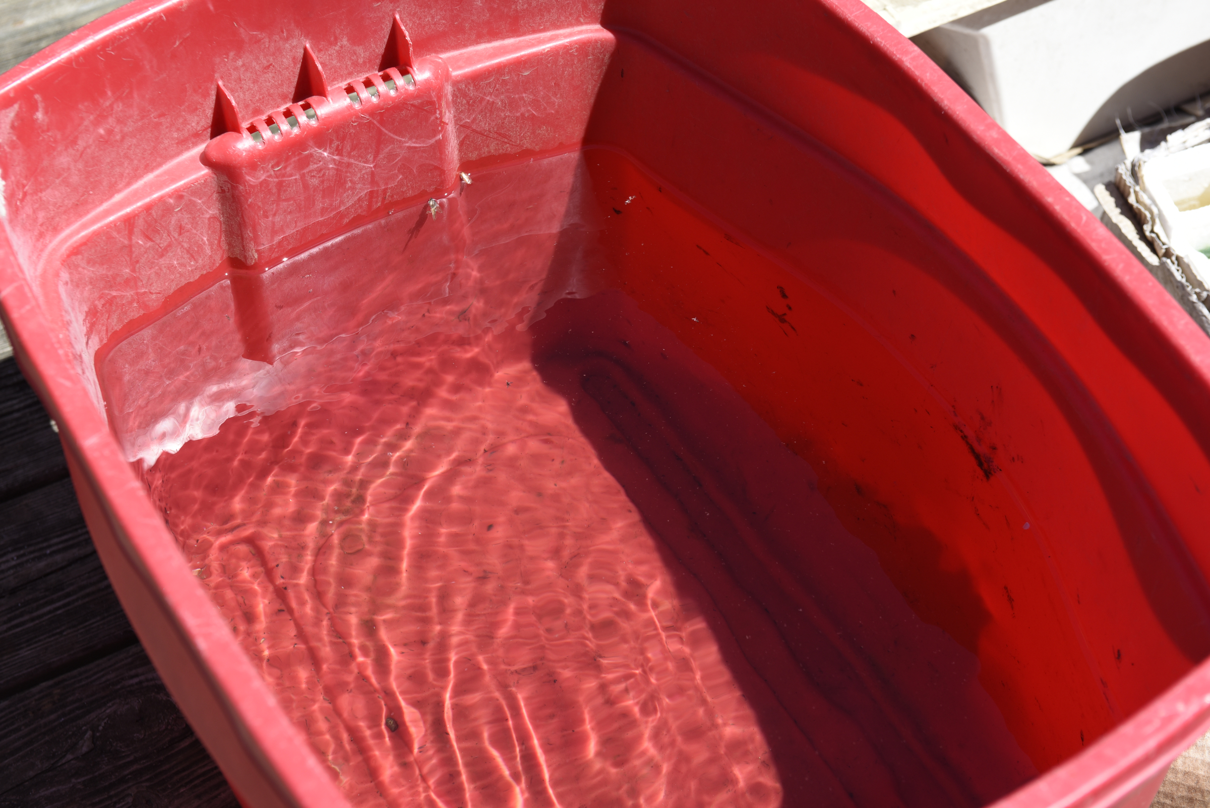 Nikki Cortez collects rain water in a plastic tub on the deck of her residence at the Pear Pines Mobile Home Park on Tuesday, Aug. 25, 2015, in LaFayette, Ga. Few residents remain after the landlord's financial problems caused water to be turned off at the property several weeks ago.