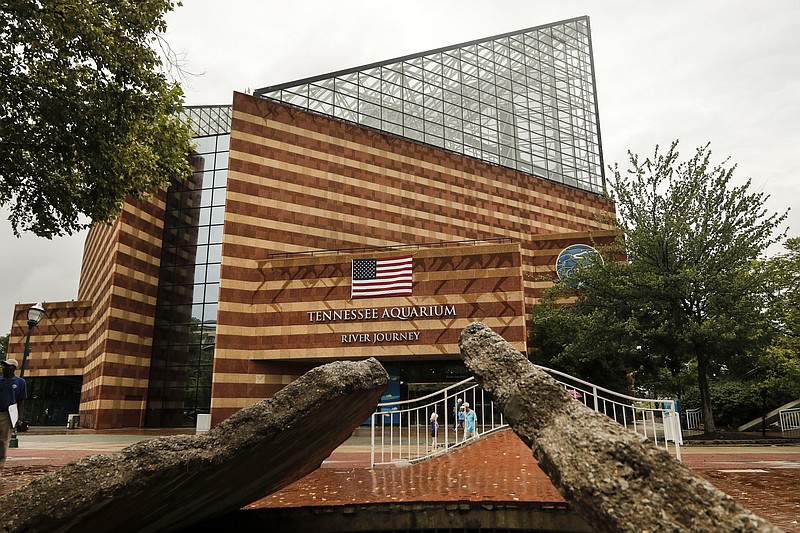 The Tennessee Aquarium is seen in this photo from early August.