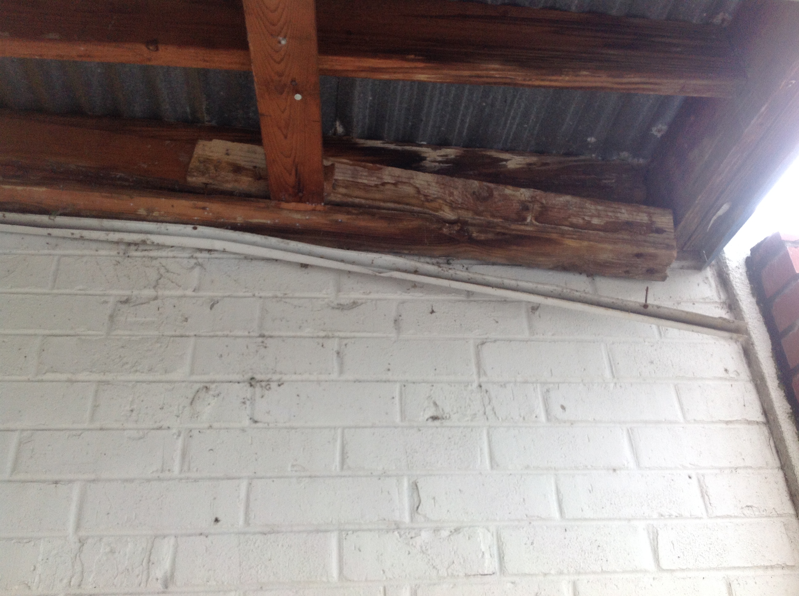 City officials investigate structural beams of a Superior Creek Lodge building.