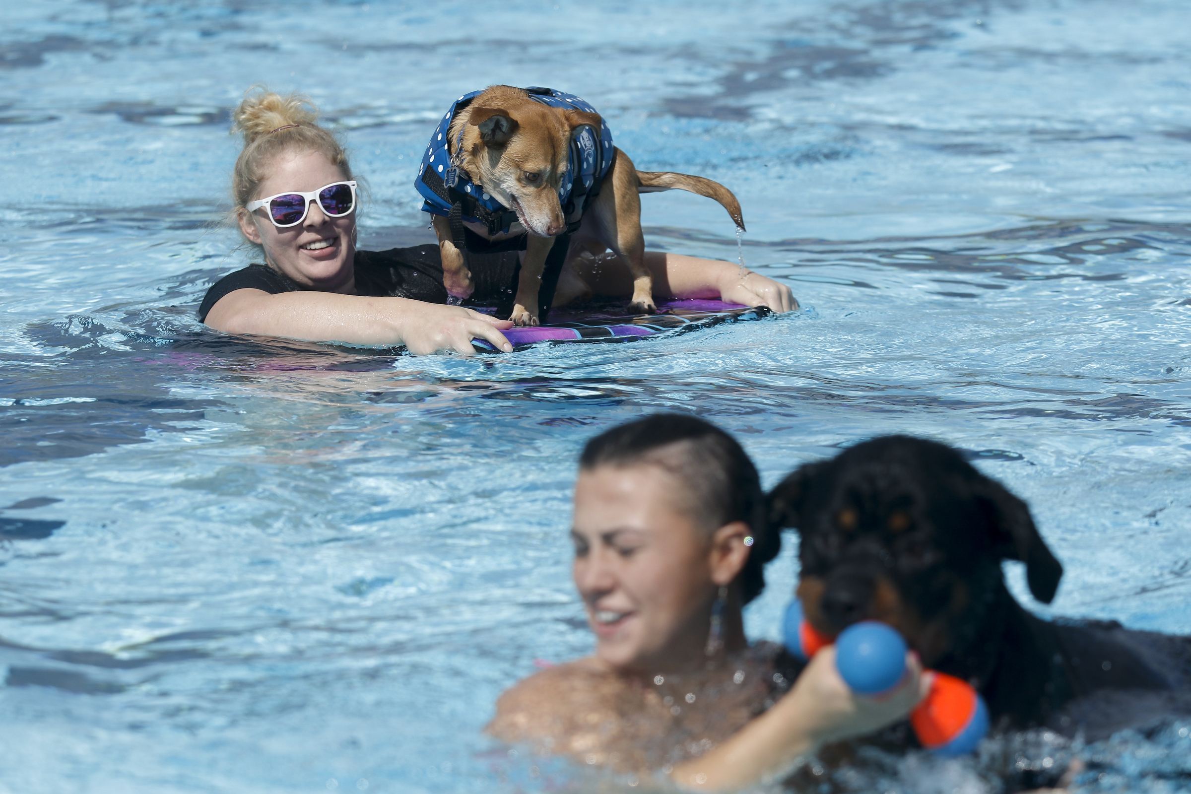 Sarah Hefner, left, buoys Dodger on a boogie board while Rachelle Doren and Crixis play with a toy in the pool during McKamey Animal Center's Doggie Paddle Pool Party.