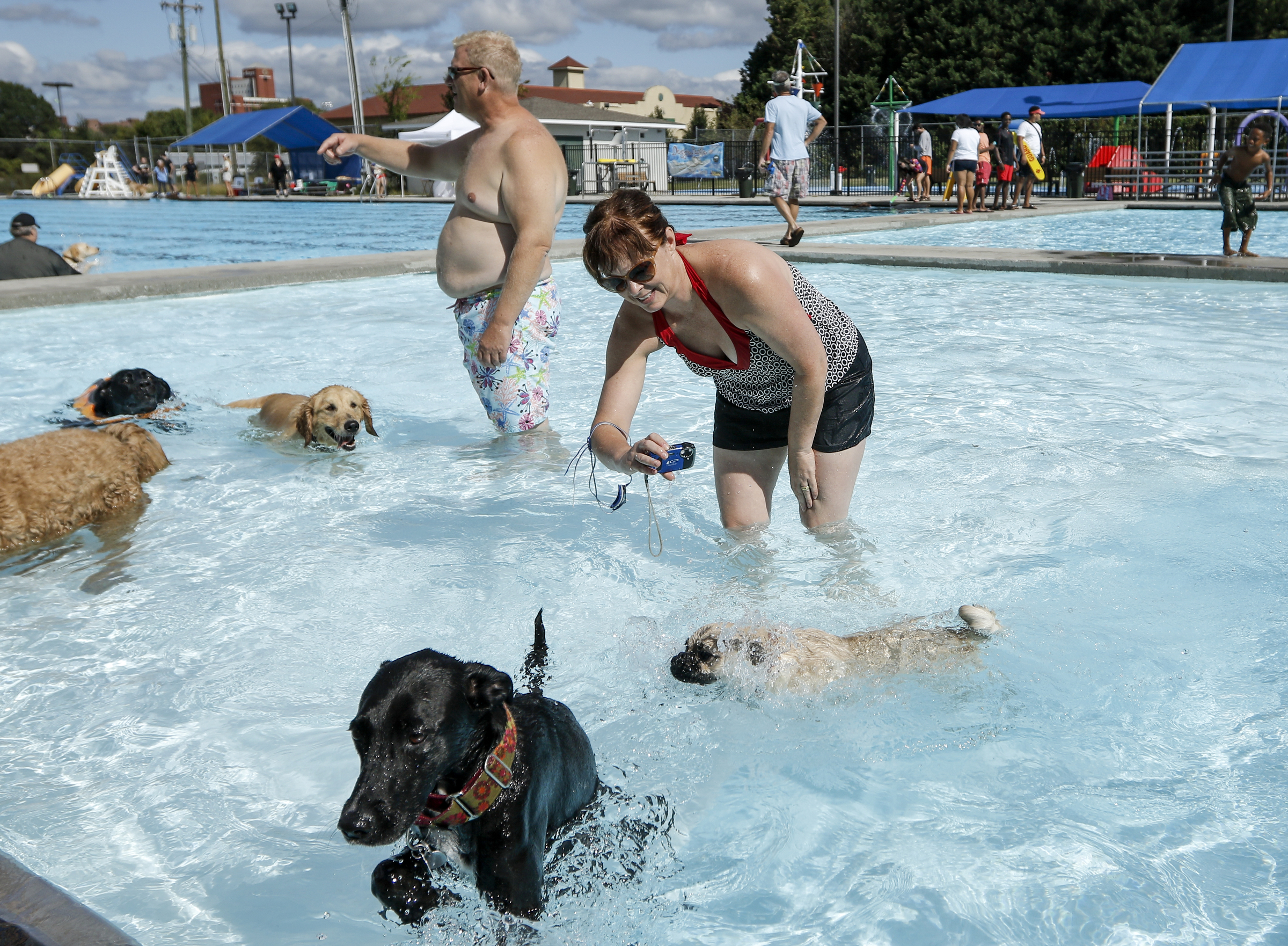 Lydia Williamson, foreground, snaps photos of her dogs playing in the pool.