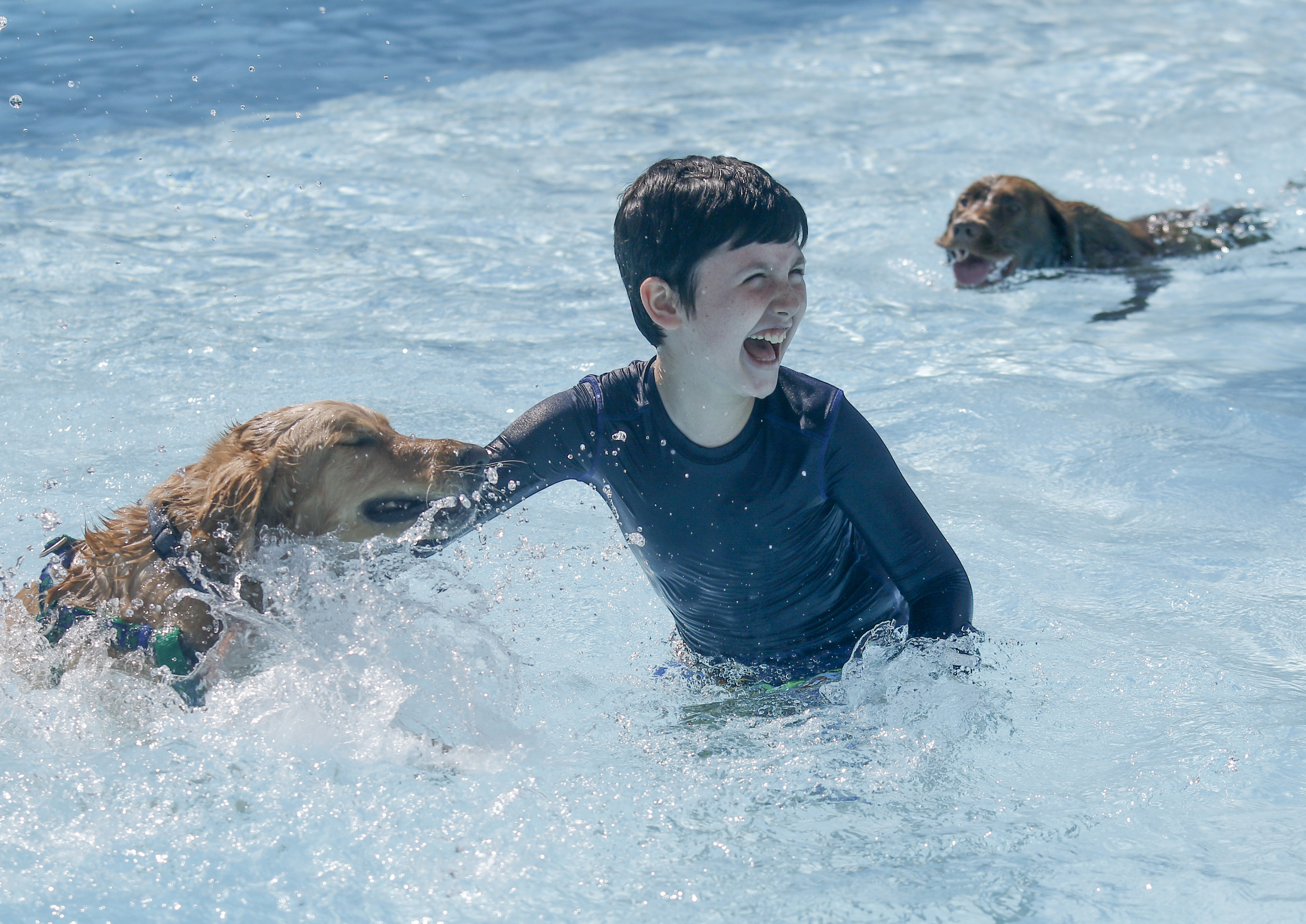 Ricky Barta plays with Boomer at the pool party.