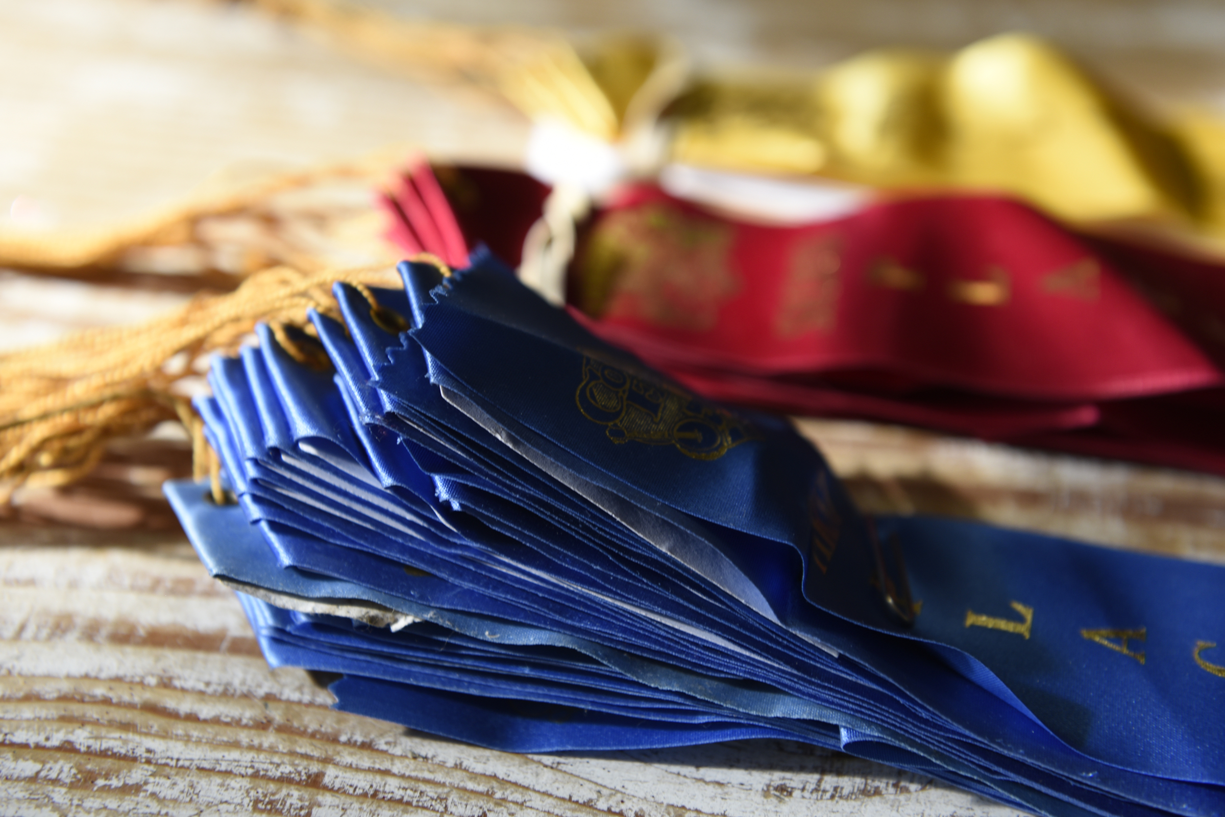 Cooper Plotner has won a stack of blue ribbons, seen Thursday, Sept. 17, 2015, at his home in Soddy-Daisy, Tenn., competing at the Hamilton County Fair.