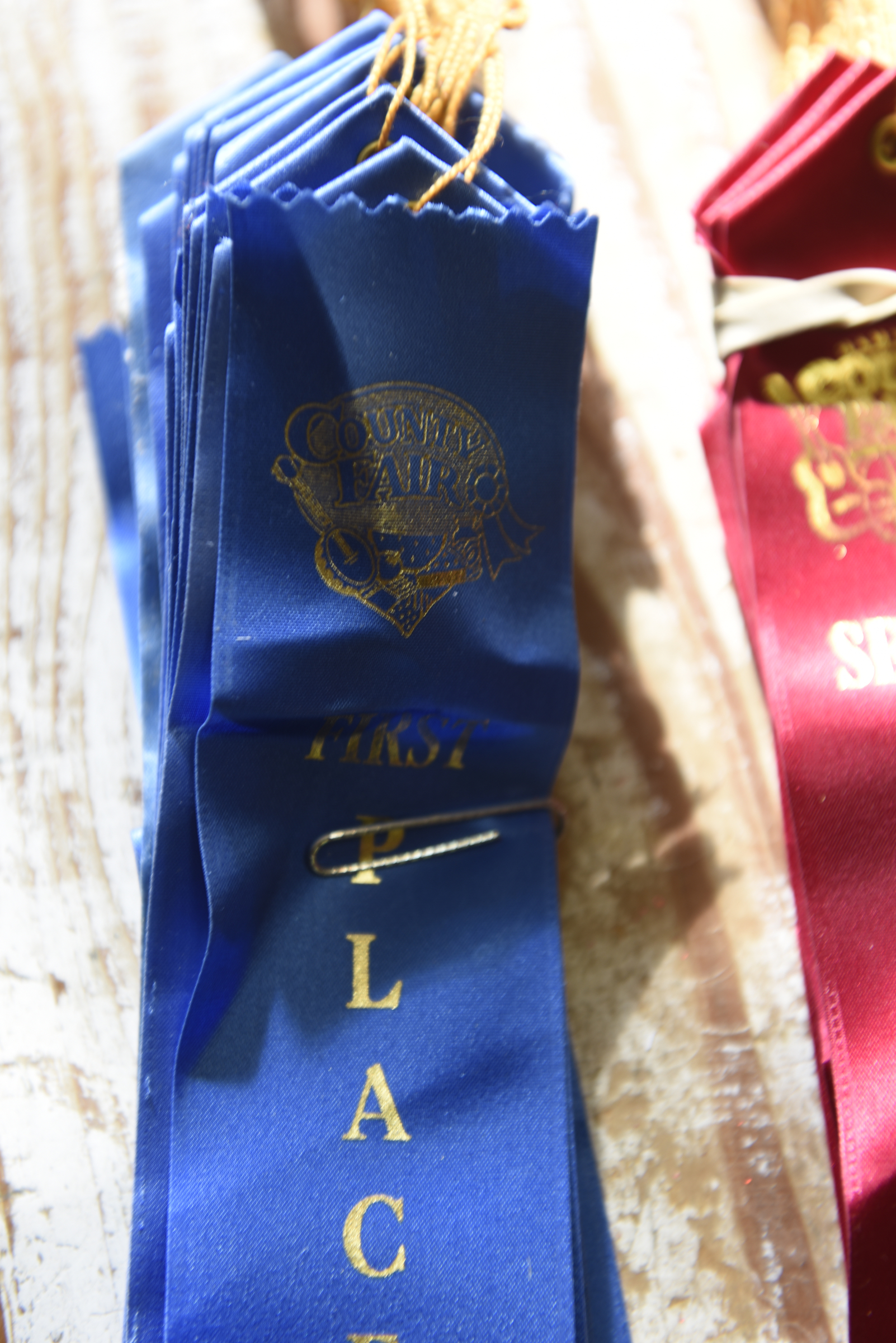 Cooper Plotner has won a stack of blue ribbons, seen Thursday, Sept. 17, 2015, at his home in Soddy-Daisy, Tenn., competing at the Hamilton County Fair.
