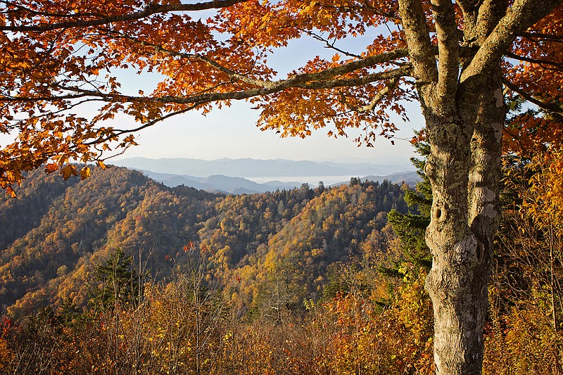 Autumn vistas in Great Smoky Mountains National Park are spectacular.