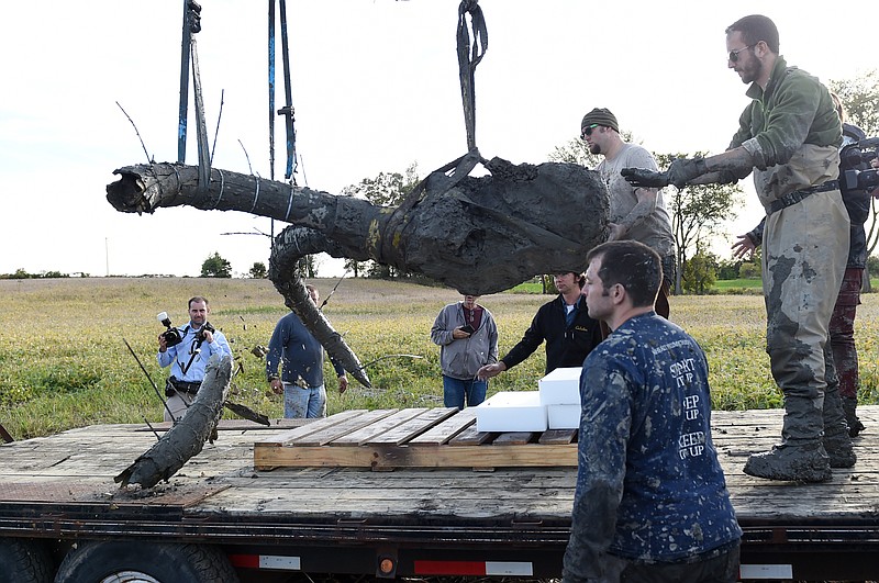 In this photo taken Oct. 1, 2015, a piece of a tusk, lower left, snaps off the end as crews transfer the remains of a woolly mammoth from the ground to a trailer for transport, as University of Michigan professor Dan Fisher and a team of Michigan students and volunteers work to excavate a woolly mammoth found on a farm near Chelsea, Mich. (Melanie Maxwell/The Ann Arbor News via AP) LOCAL TELEVISION OUT; LOCAL INTERNET OUT; MANDATORY CREDIT