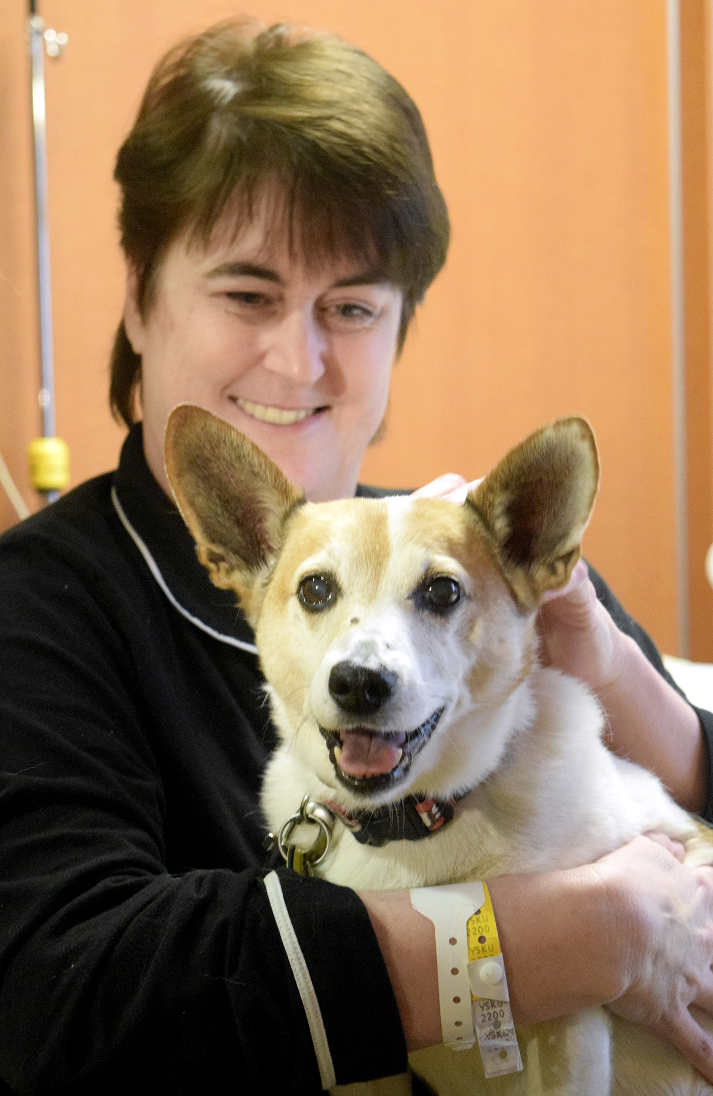 Erlanger Hospital patient, Edie Robinson, pets Georgia, a 12-year old Jack Russell Terrier owned by Susan Millican. Erlanger Hospital is taking applications from dog owners for their pet to be a therapy dog.