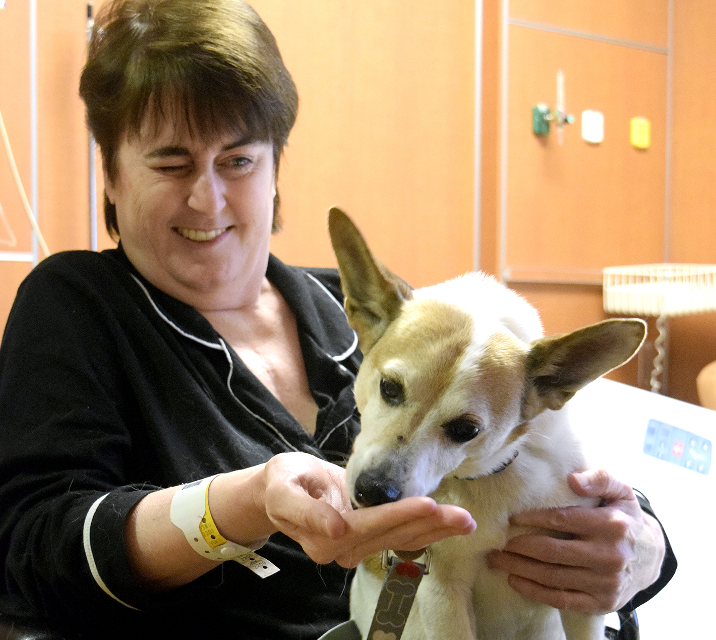 Erlanger Hospital patient, Edie Robinson, gives a treat to Georgia, a 12-year old Jack Russell Terrier owned by Susan Millican. Erlanger Hospital is taking applications from dog owners for their pet to be a therapy dog.