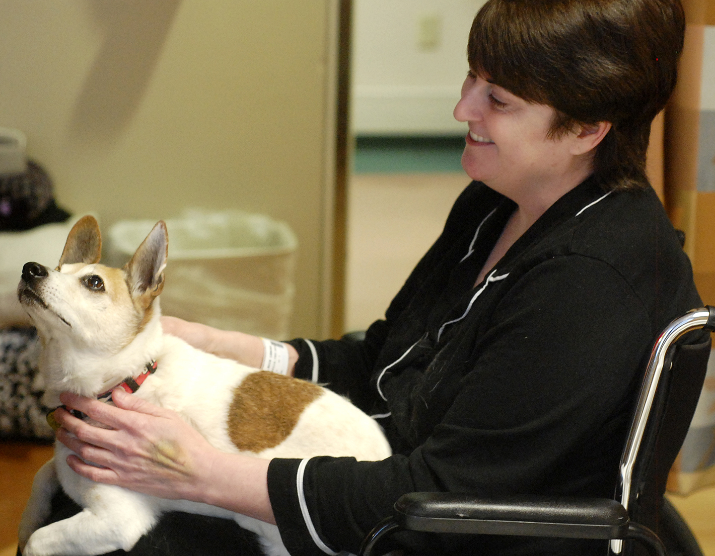 Erlanger Hospital patient, Edie Robinson, pets Georgia, a 12-year old Jack Russell Terrier owned by Susan Millican. Erlanger Hospital is taking applications from dog owners for their pet to be a therapy dog.