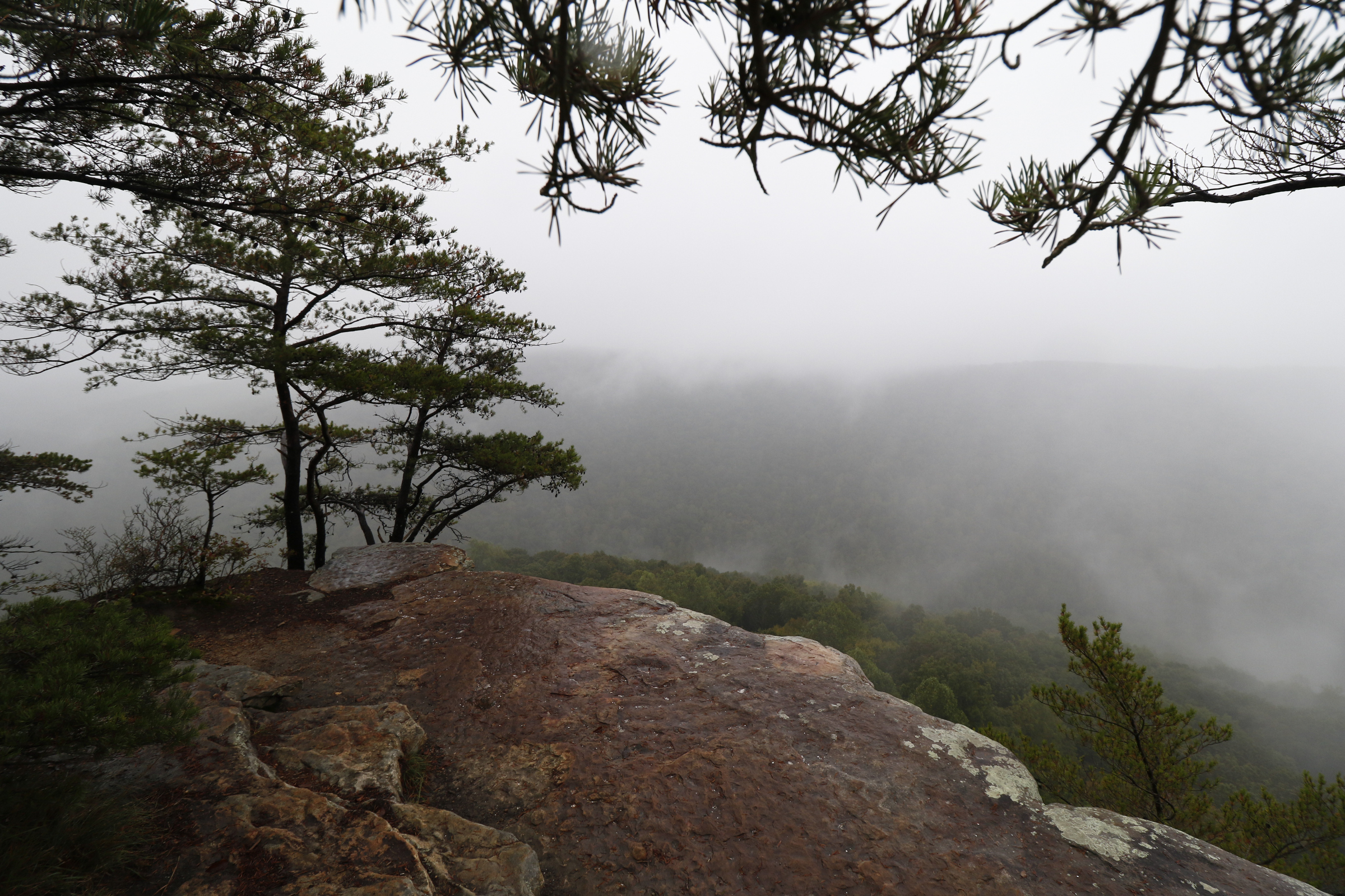 Staff Photo by Dan Henry / The Chattanooga Times Free Press- 10/1/15. Overlook from the Great Stone Door in the Savage Gulf State Natural Area on Thursday, October 1, 2015.