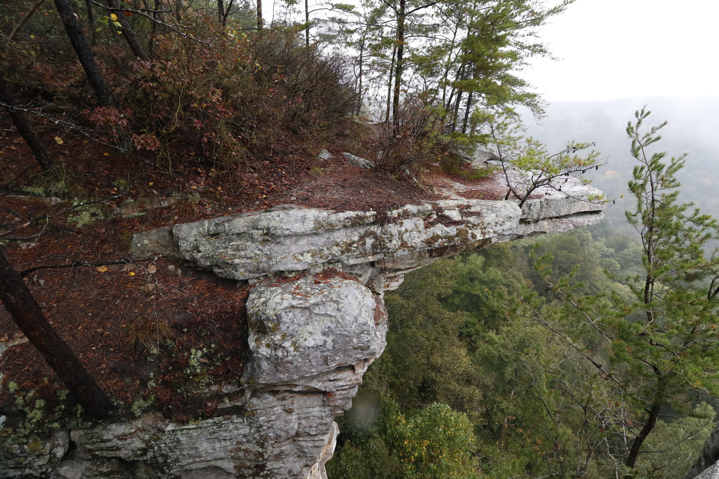 Staff Photo by Dan Henry / The Chattanooga Times Free Press- 10/1/15. Overlook from the Great Stone Door in the Savage Gulf State Natural Area on Thursday, October 1, 2015.