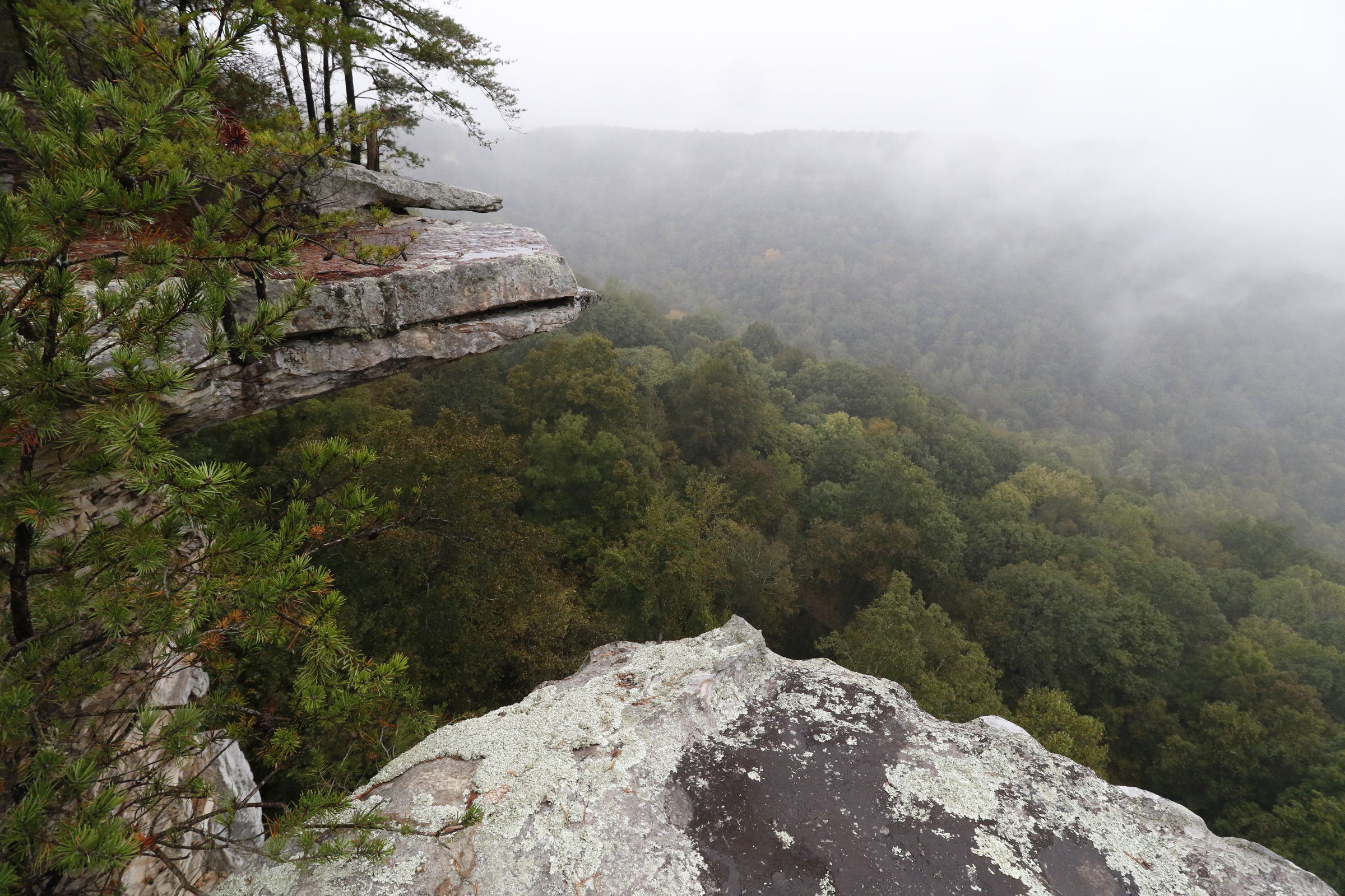 Staff Photo by Dan Henry / The Chattanooga Times Free Press- 10/1/15. Overlook from the Great Stone Door in the Savage Gulf State Natural Area on Thursday, October 1, 2015.