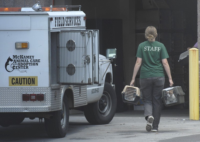 A McKamey Animal Care and Adoption Center employee carries animals into the center that were taken from The Pet Company at Hamilton Place Mall in this file photo.
