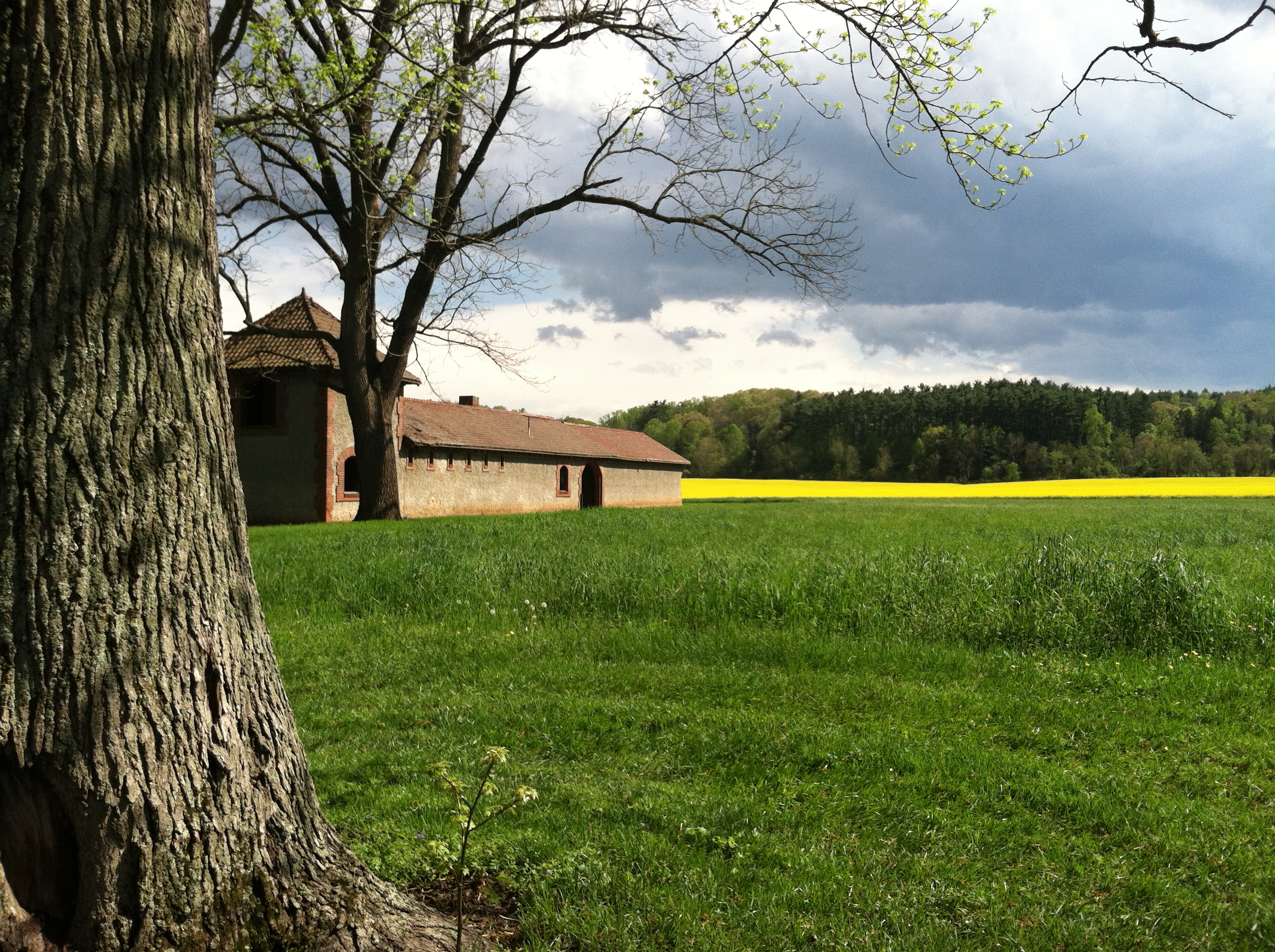 This April 20, 2015 photo shows a field against a backdrop of mountains at The Biltmore estate in Asheville, N.C. The Biltmore mansion has 250 rooms and offers a look at life during the Gilded Age, but the estate's grounds are also spectacular, with gardens, winding roads and working farms. (AP Photo/Beth J. Harpaz)