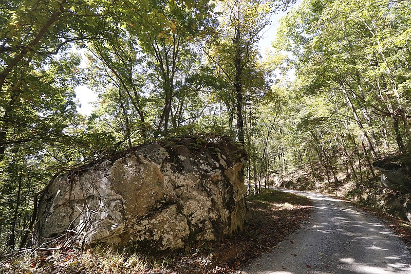 Staff Photo by Dan Henry / The Chattanooga Times Free Press- 10/19/15. The Johnson's Crook Valley near the Georgia-Alabama border in Rising Fawn, Ga., as seen on Monday, October 19, 2015. The Georgia-Alabama Land Trust and Southeastern Cave Conservancy, Inc., are partnering to create the largest cave preserve in Georgia consisting of 1,300 acres of land in the Johnson's Crook Valley. 