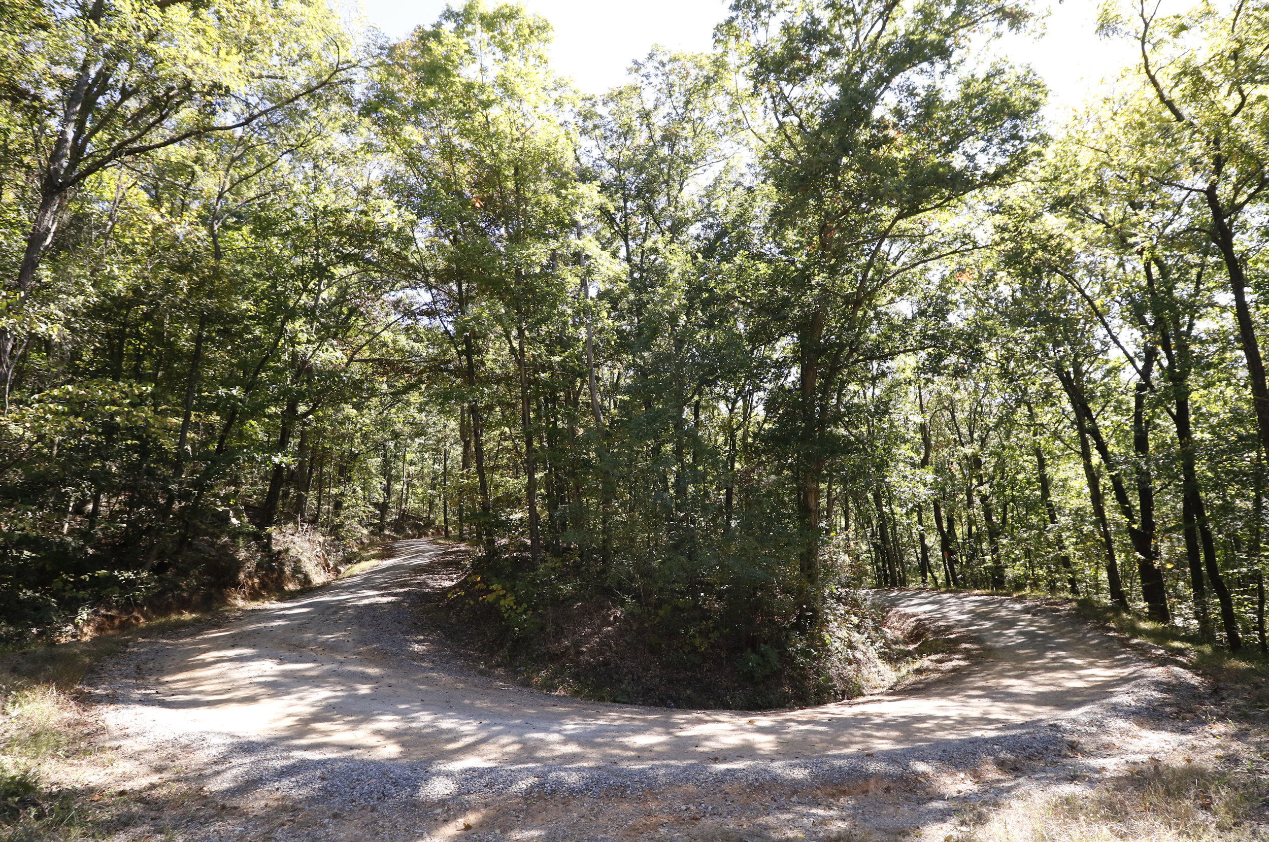 Staff Photo by Dan Henry / The Chattanooga Times Free Press- 10/19/15. The Johnson's Crook Valley near the Georgia-Alabama border in Rising Fawn, Ga., as seen on Monday, October 19, 2015. The Georgia-Alabama Land Trust and Southeastern Cave Conservancy, Inc., are partnering to create the largest cave preserve in Georgia consisting of 1,300 acres of land in the Johnson's Crook Valley.